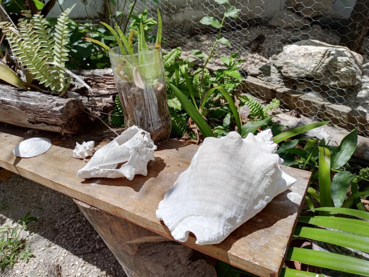 Mi Cuartito En Bacalar Appartement Buitenkant foto