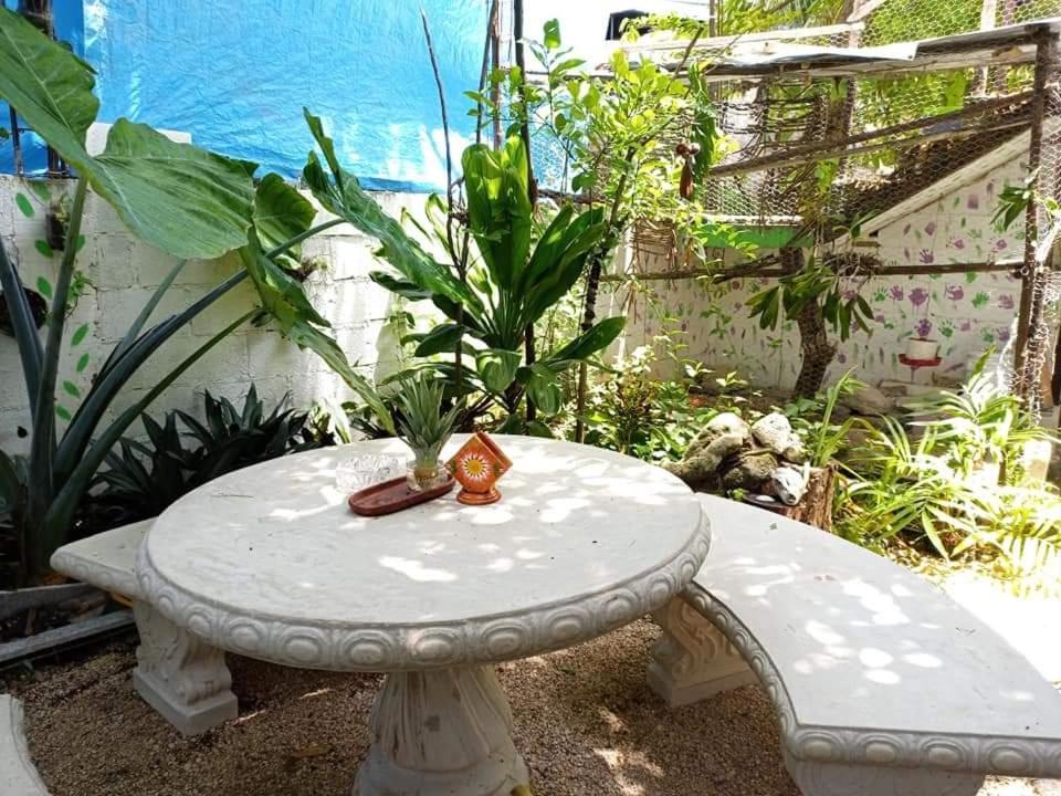 Mi Cuartito En Bacalar Appartement Buitenkant foto