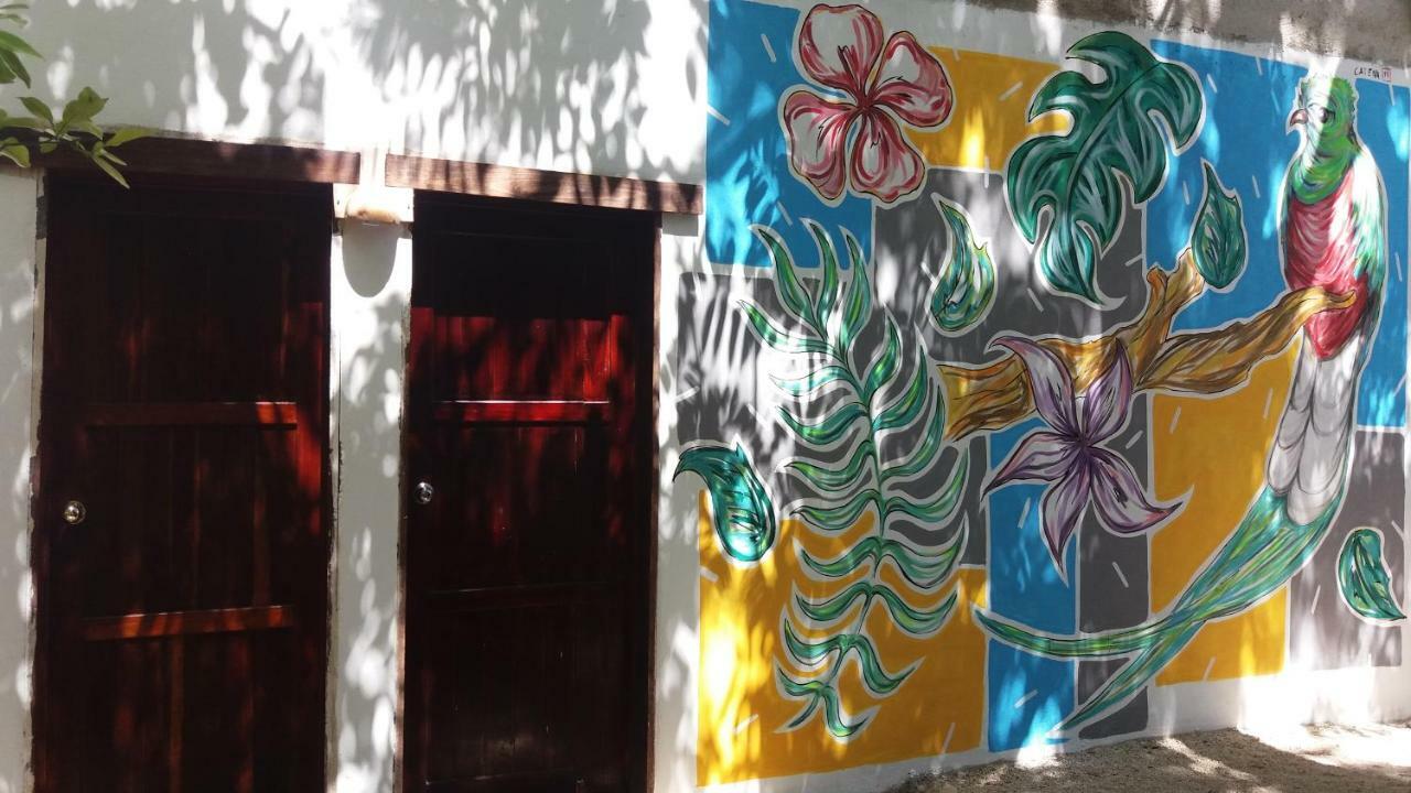 Mi Cuartito En Bacalar Appartement Buitenkant foto